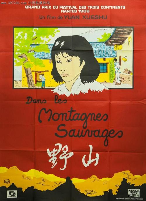 仿制假内布拉斯加州ID